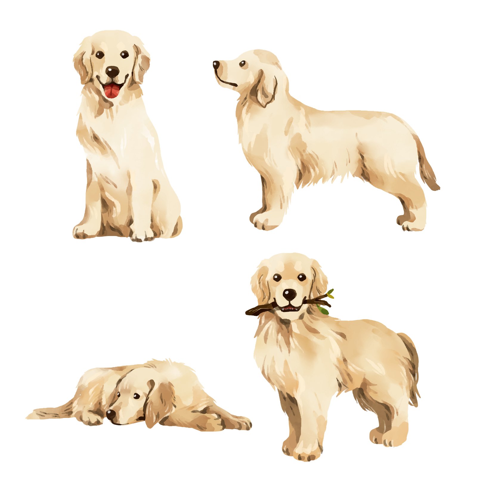 Golden Retriever Puppy Diet and Nutrition Guide